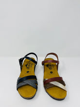 Plakton NORIA