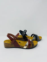 Plakton NORIA