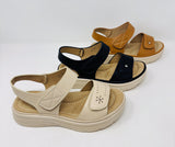 Luxen 611